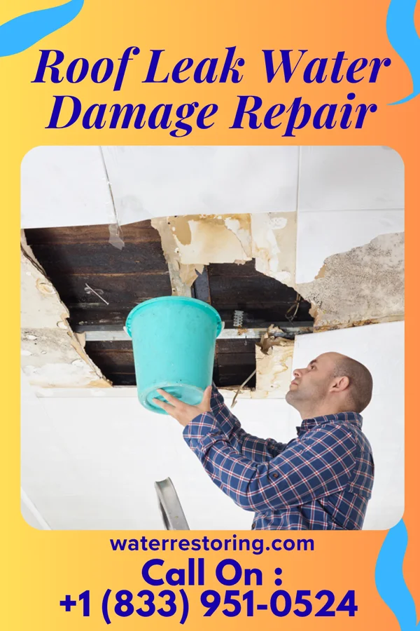 Roof Leak Water Damage Repair in Humboldt, MN